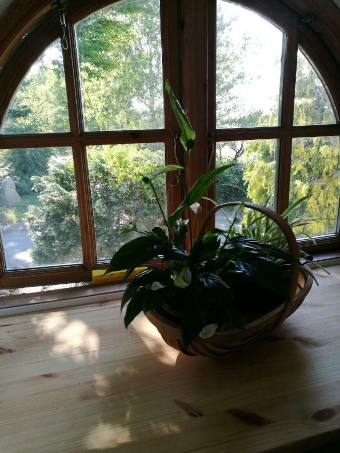 Bella Bed And Breakfast Stevns Arnoje Exterior photo